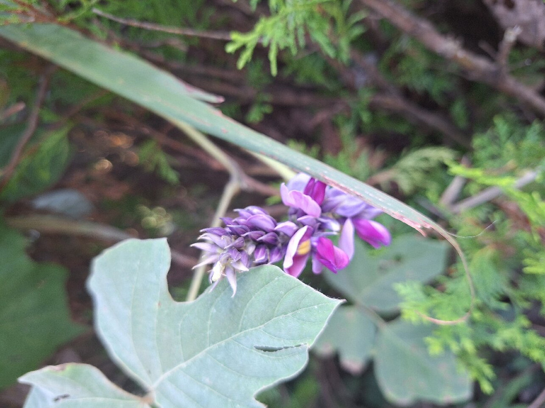 浦江仙华山-浦江县必去景点
