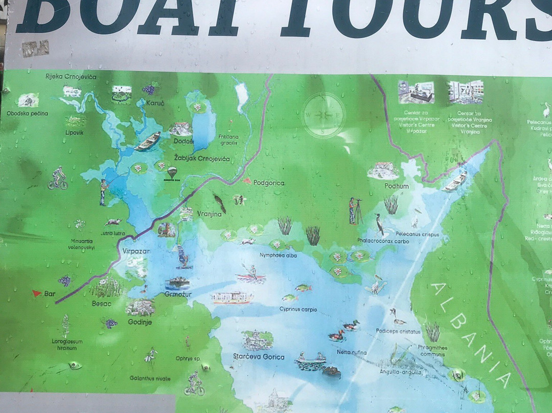 Active Lake Skadar-维尔巴札拉必去景点