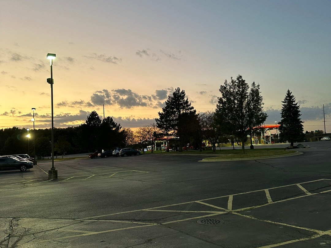 Hampton Inn Marshall主图