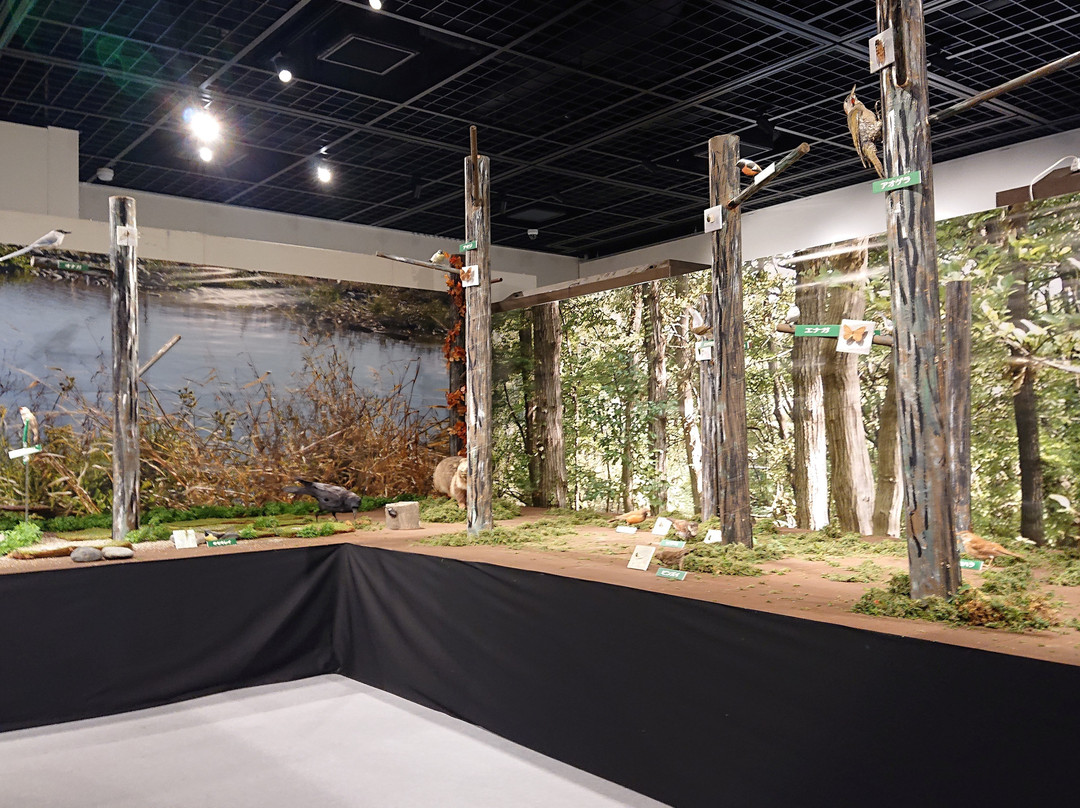 Kyodo No Mori Museum-府中市必去景点