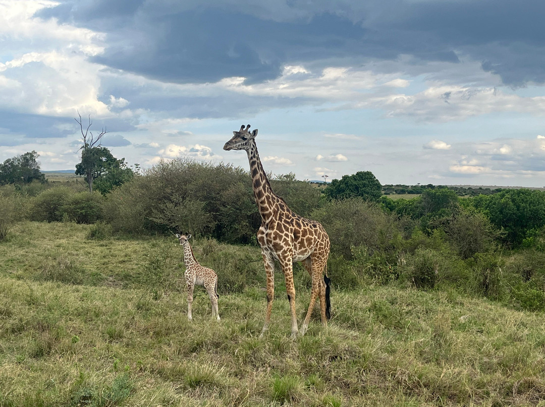 Hadven-homeland Adventures-内罗毕必去景点
