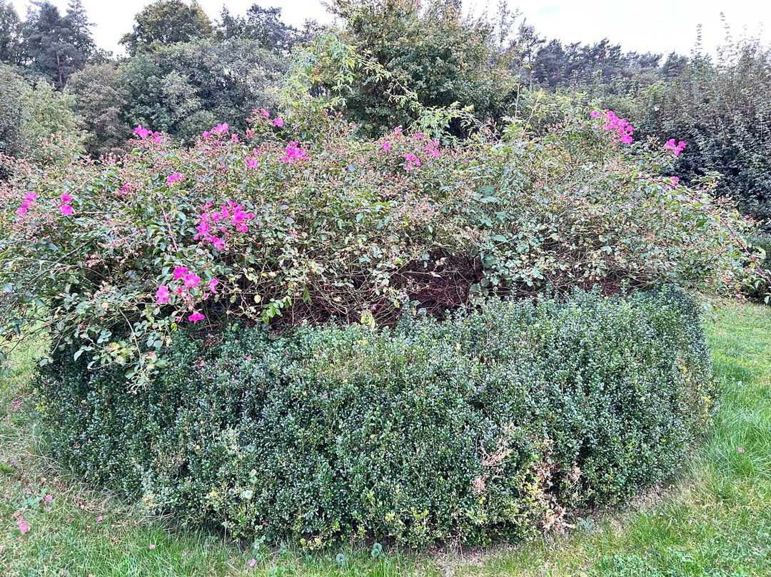 Botanical Garden Mellenthin景点图片