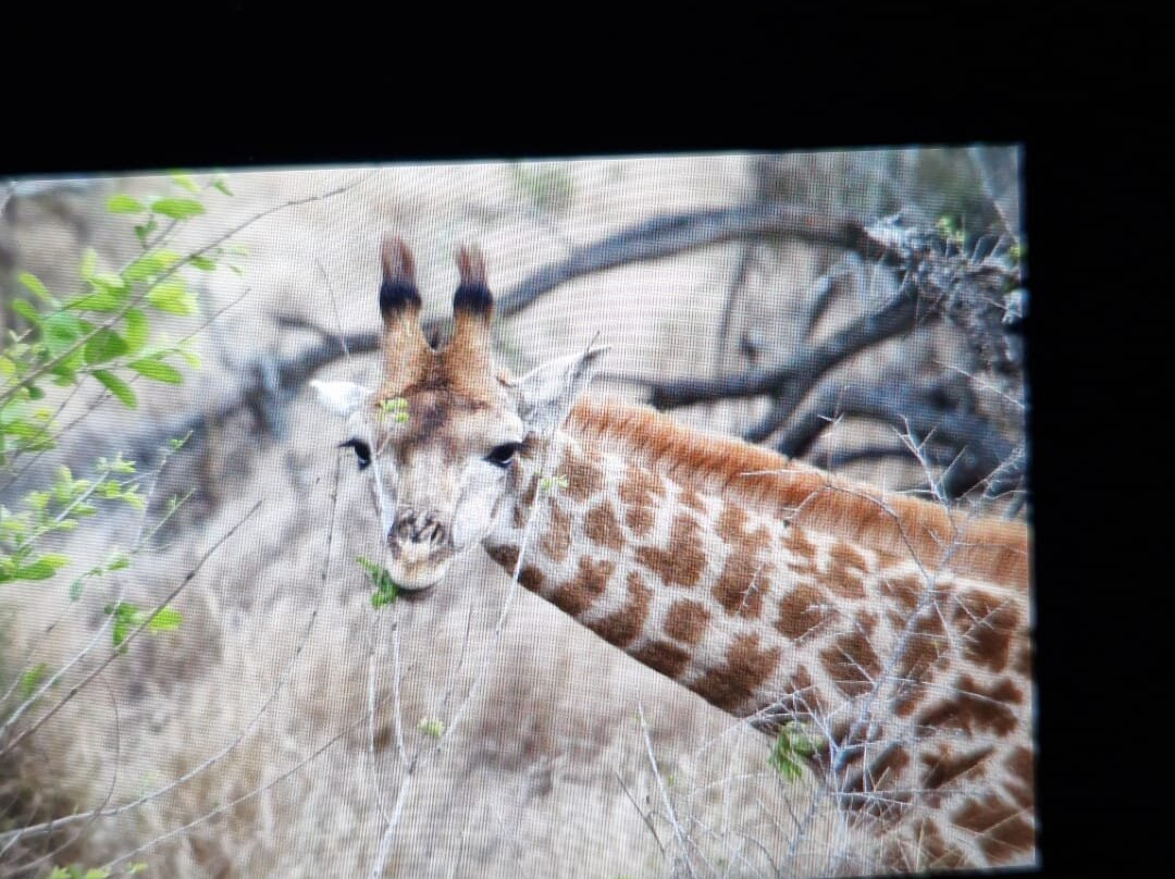 Mozambique Experience-托佛必去景点