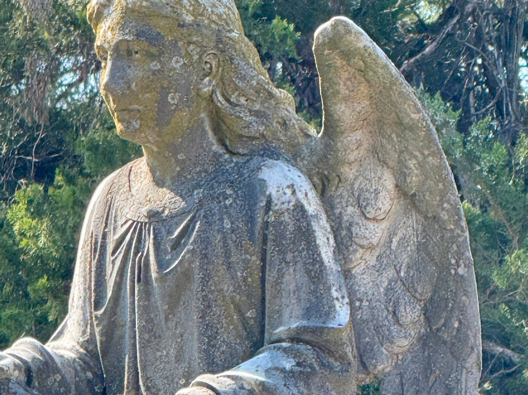 Evergreen Cemetery-巴黎必去景点