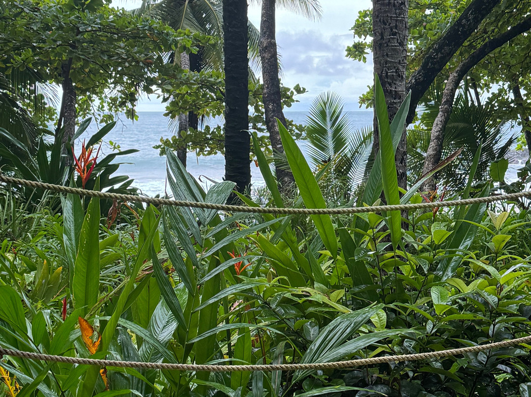 Ylang Ylang Beach Resort主图