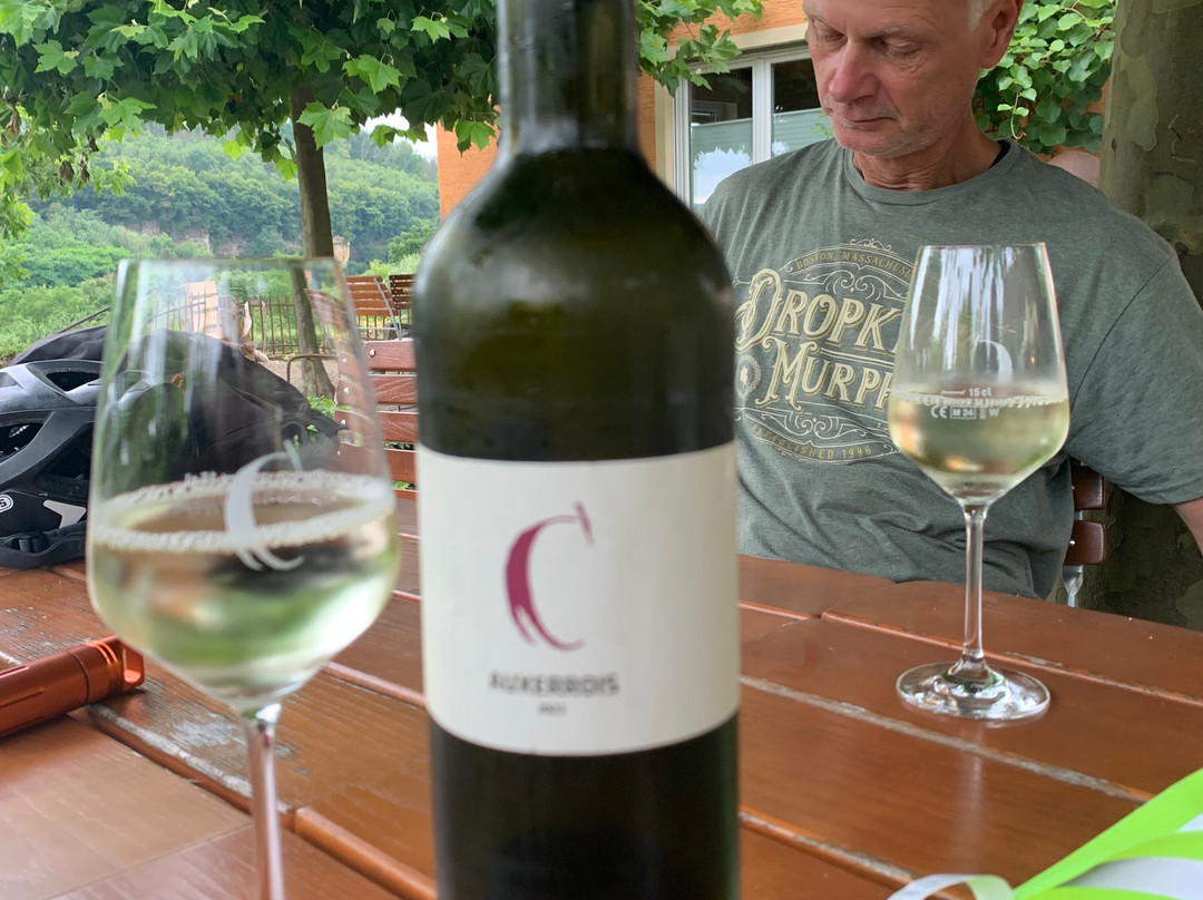 Weingut Carlsfelsen-Palzem必去景点