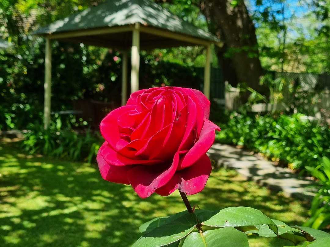 Hahndorf House Bed & Breakfast主图