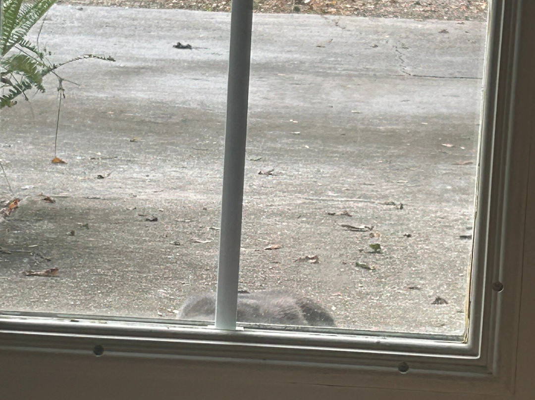 Colorado Canyon-博蒙特必去景点