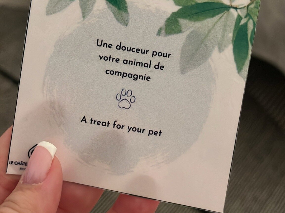 Le Château Des Forges主图