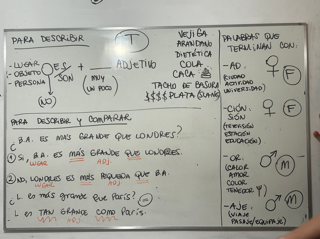 Portenísima Gente Alma & Lengua-布宜诺斯艾利斯必去景点