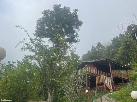 Forest Guesthouse主图