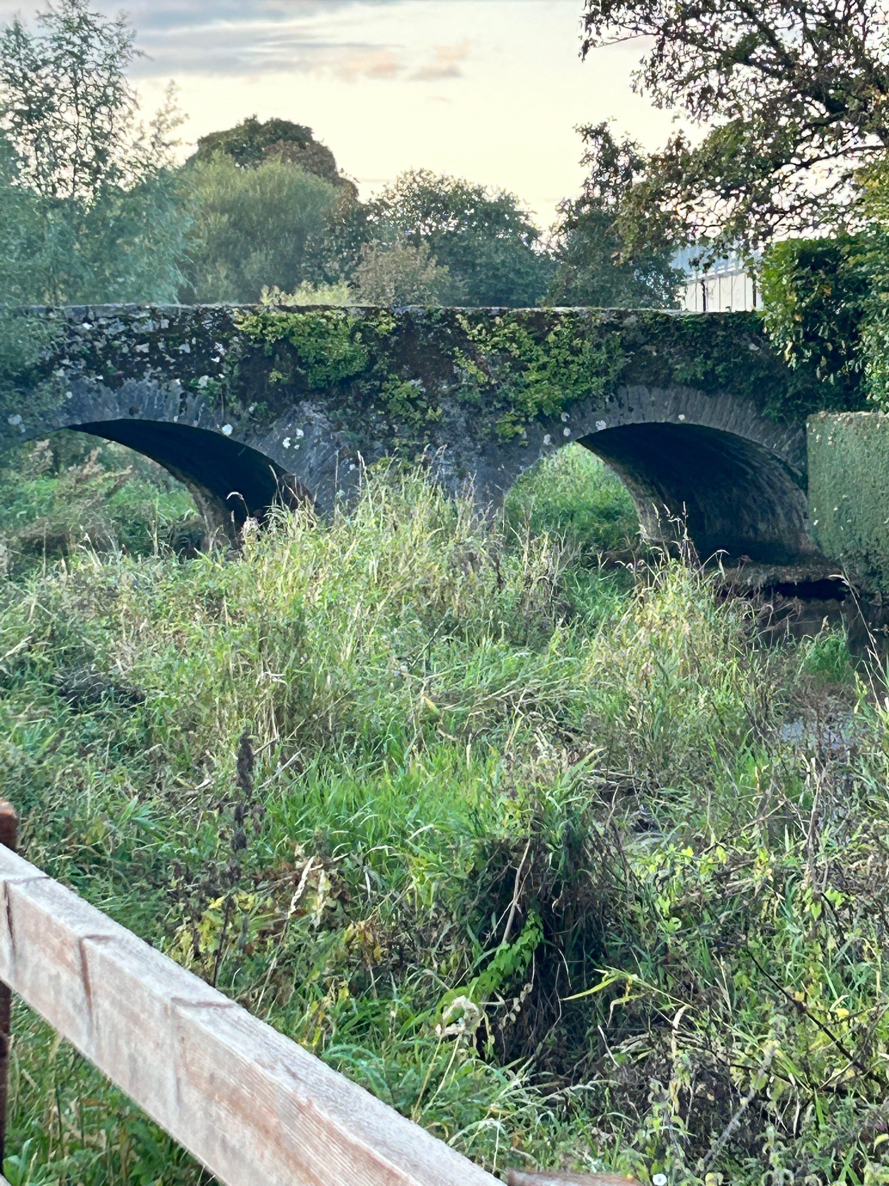 Tir Na Nog Bed & Breakfast-官方