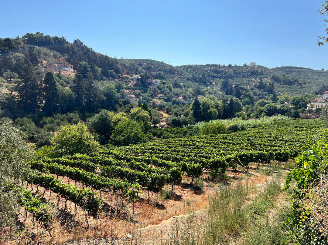 Anoskeli Winery Olive Mill景点图片
