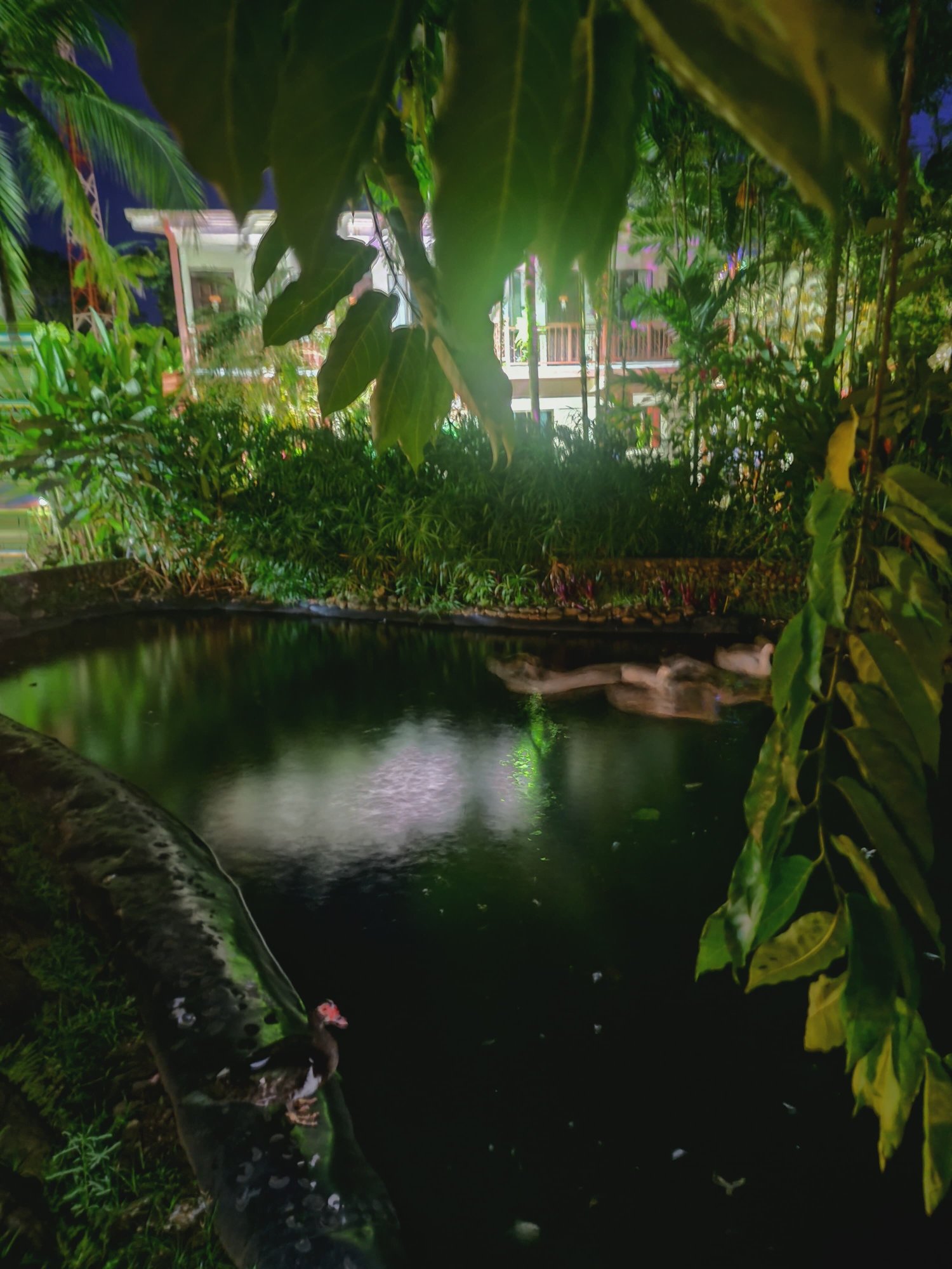 Hotel Diuwak-家庭/游戏区