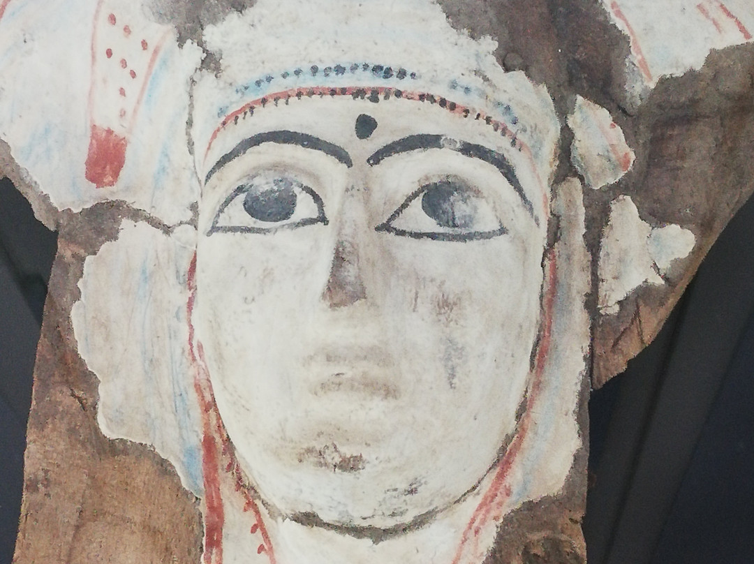 Museo Civico di Crema e del Cremasco景点图片