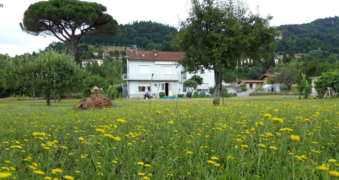 Affittacamere La Foresta di Sopra