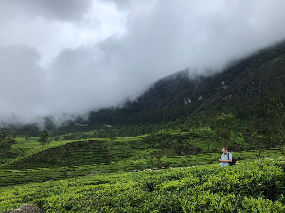 Lockhart Tea Tourism-Devikulam必去景点