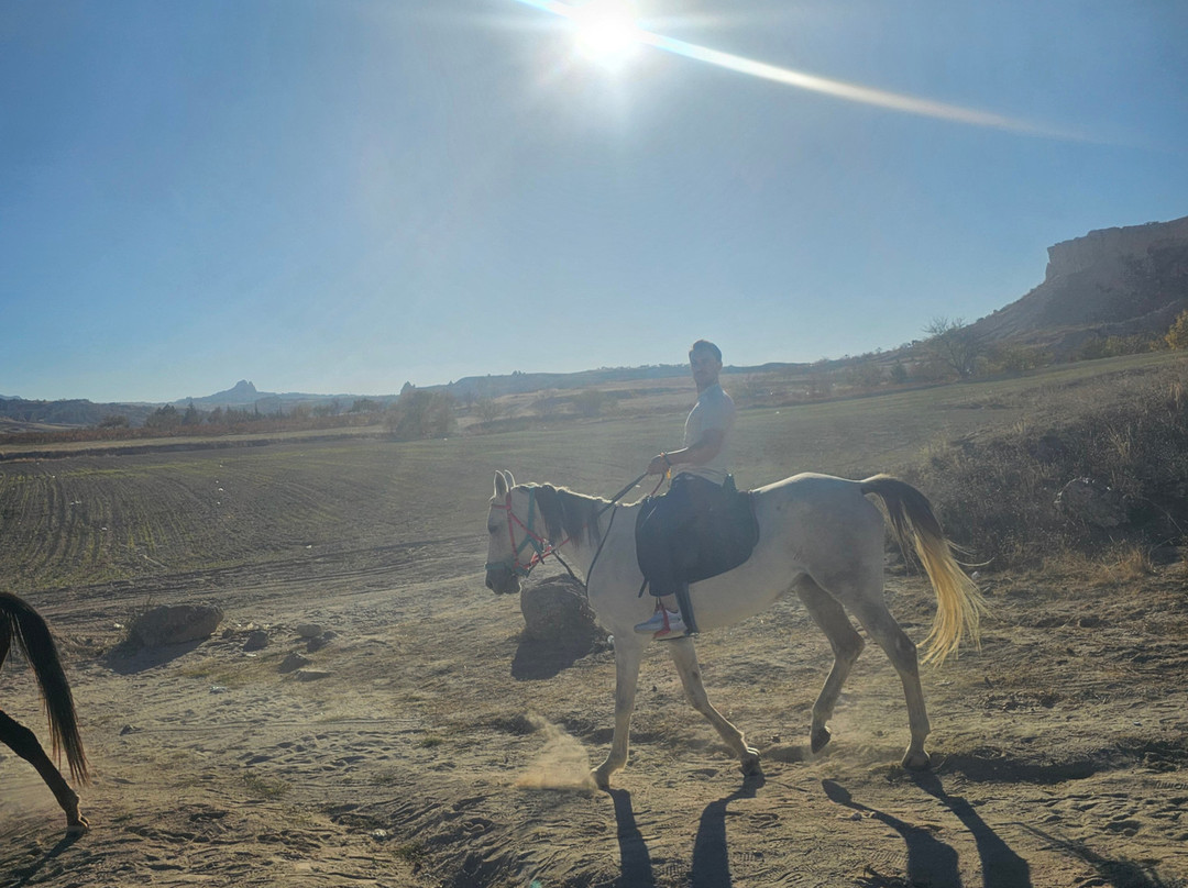 Moon Shine Horse Ranch-卡帕多细亚必去景点