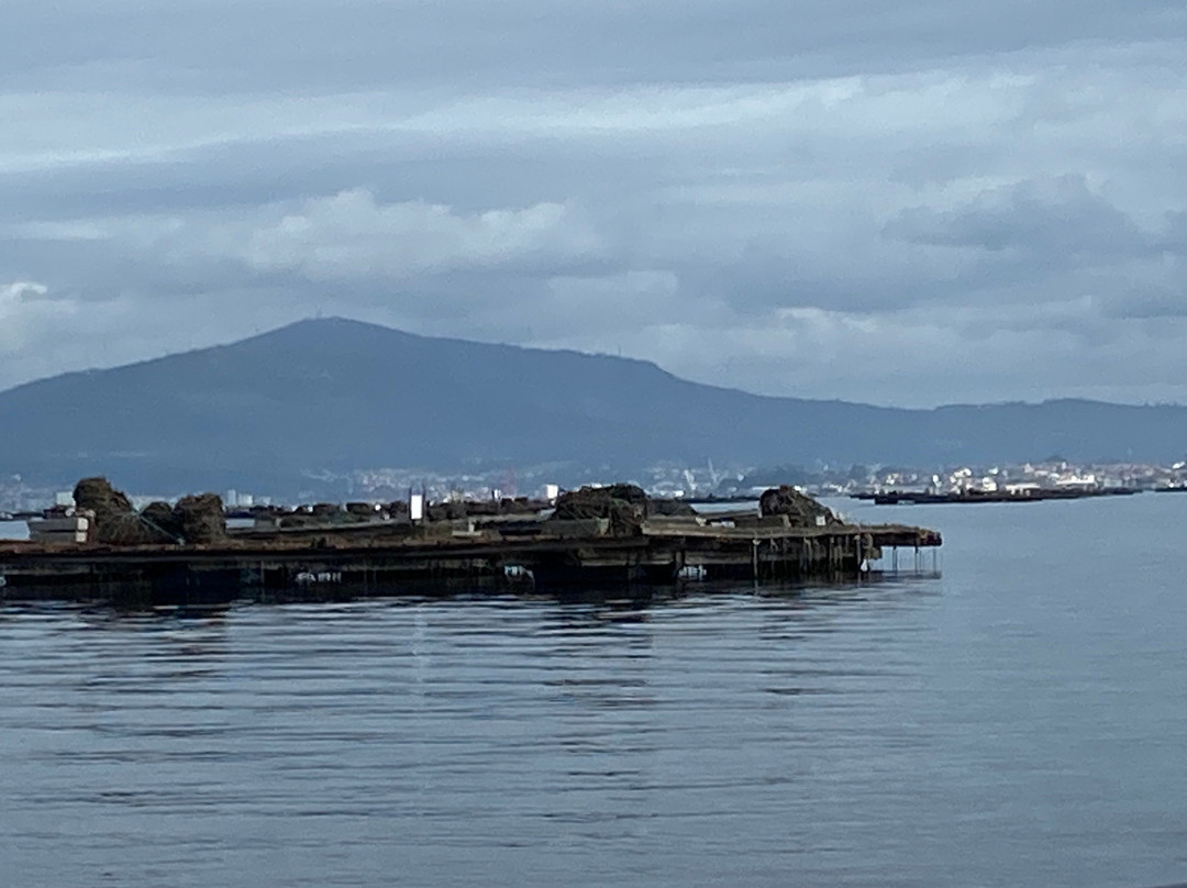 Amare Turismo Nautico-Illa de Arousa必去景点