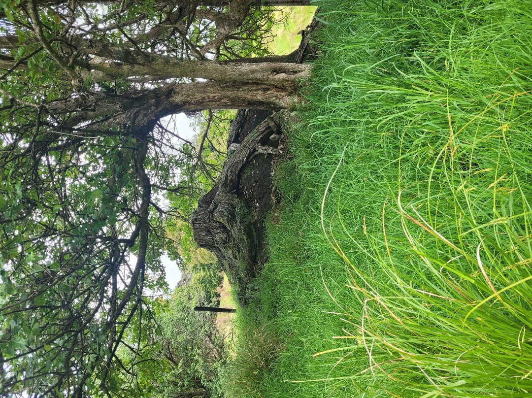 Wairere Boulders-Horeke必去景点