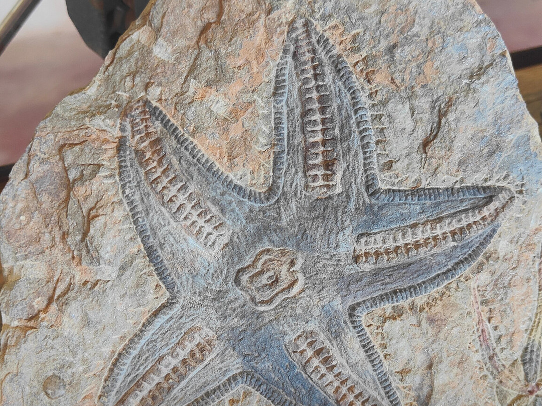 Morocco Today Travel-卡萨布兰卡必去景点