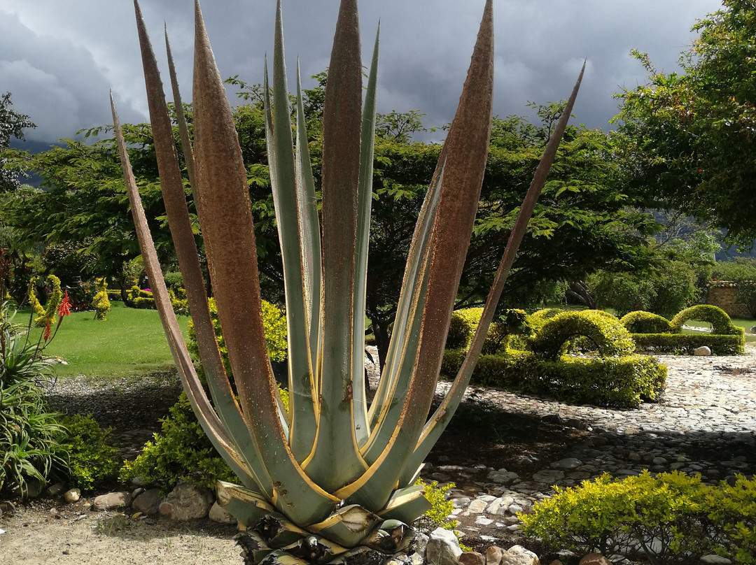 Casa De Los Fundadores主图