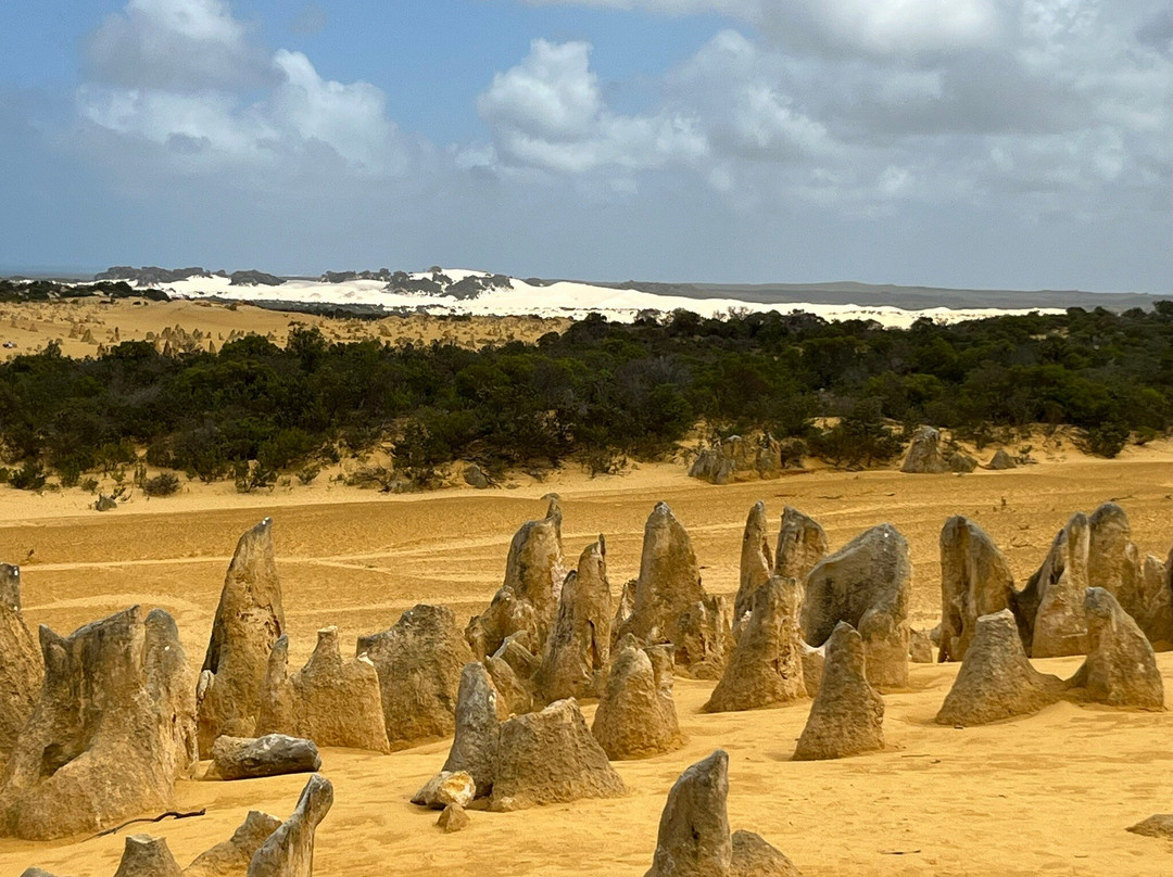 防风林住宿加早餐酒店主图