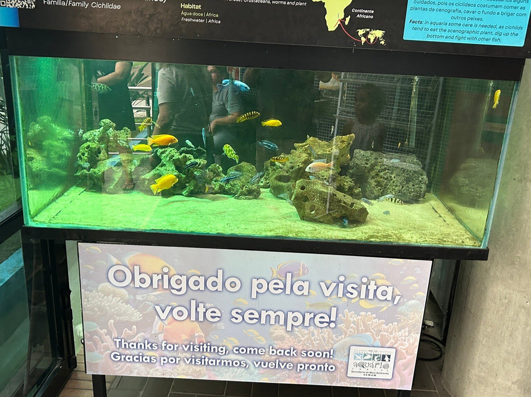 Municipal Aquarium of Santos-桑托斯必去景点