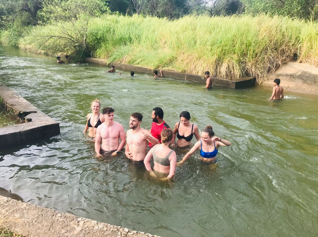 Welcome to GreenSenz