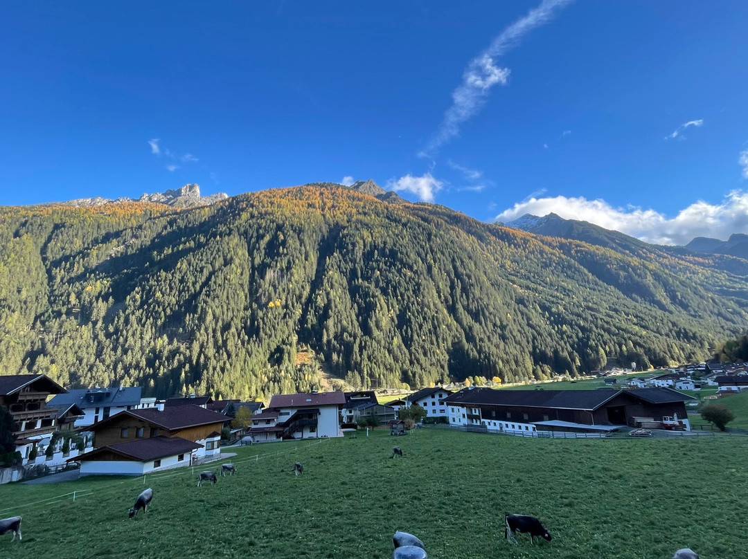 Wellness & Relax Hotel Milderer Hof主图