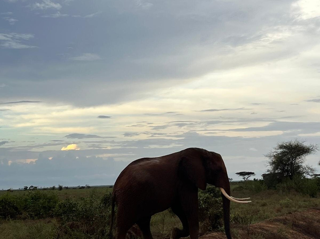 Thomas Tours & Safaris - Private Day Tours-瓦塔木必去景点