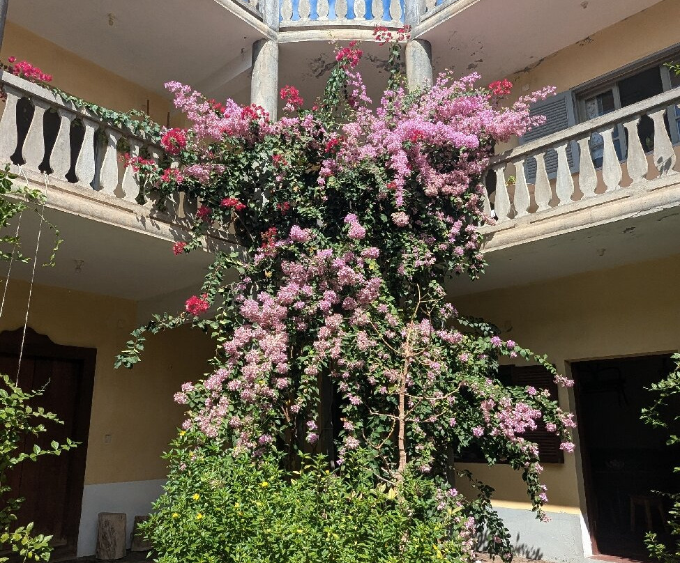 Casa Da Memoria-Sao Filipe必去景点