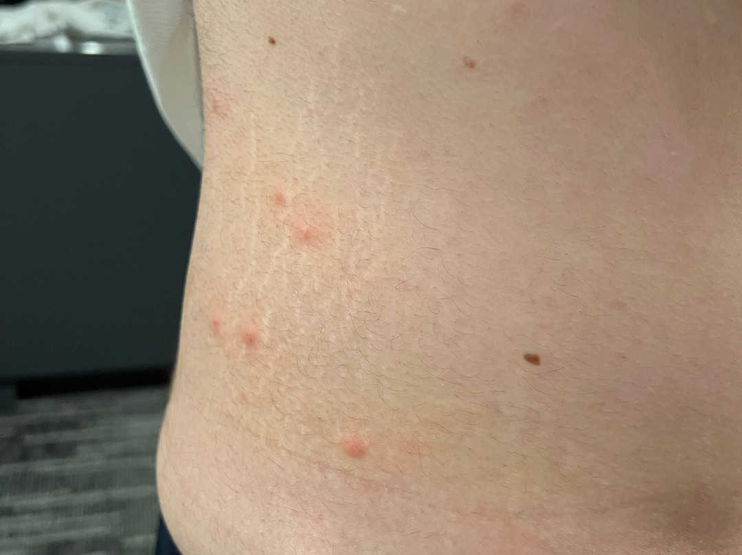 Country Inn & Suites by Radisson, Metairie (New Orleans), LA主图