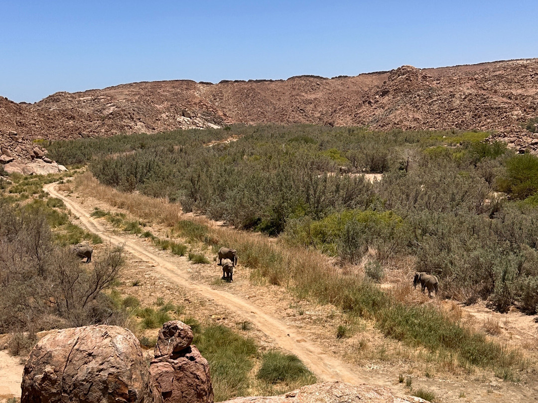 EHRA - Elephant Human Relations Aid-斯瓦科普蒙德必去景点