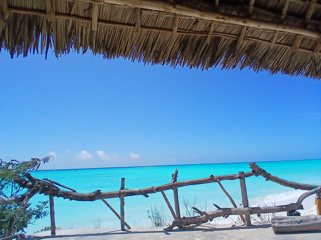 Pazuri Zanzibar-桑给巴尔岛必去景点