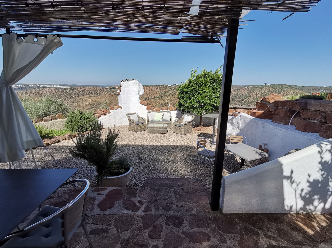 Olivetum Colina主图