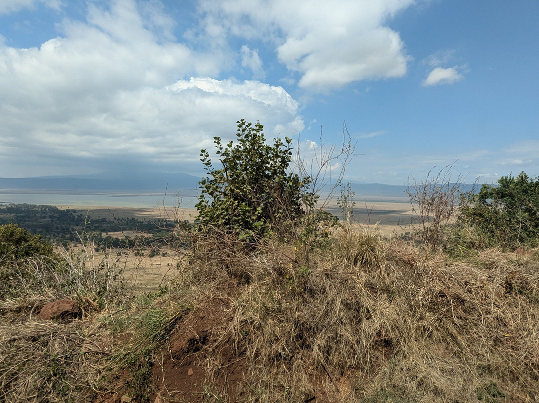 Trackless Wild.-阿鲁沙必去景点