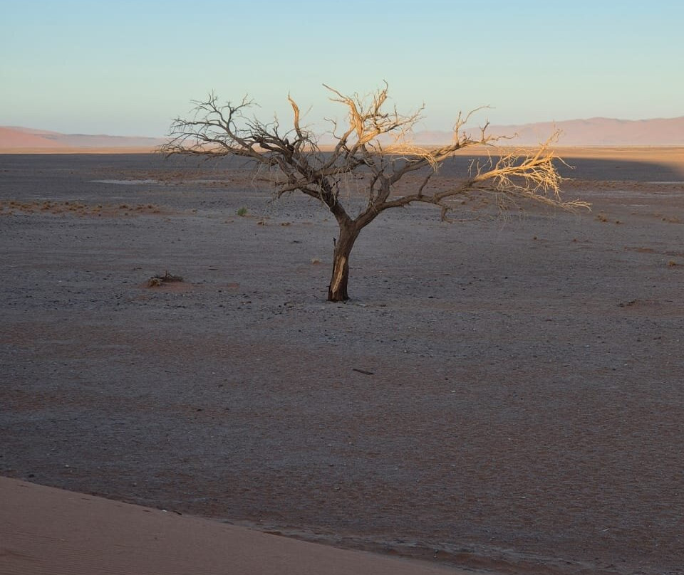 Dune 45-苏丝斯黎必去景点