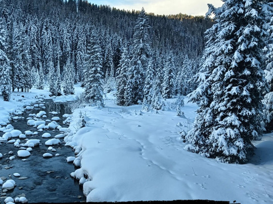 Albergo Panorama主图