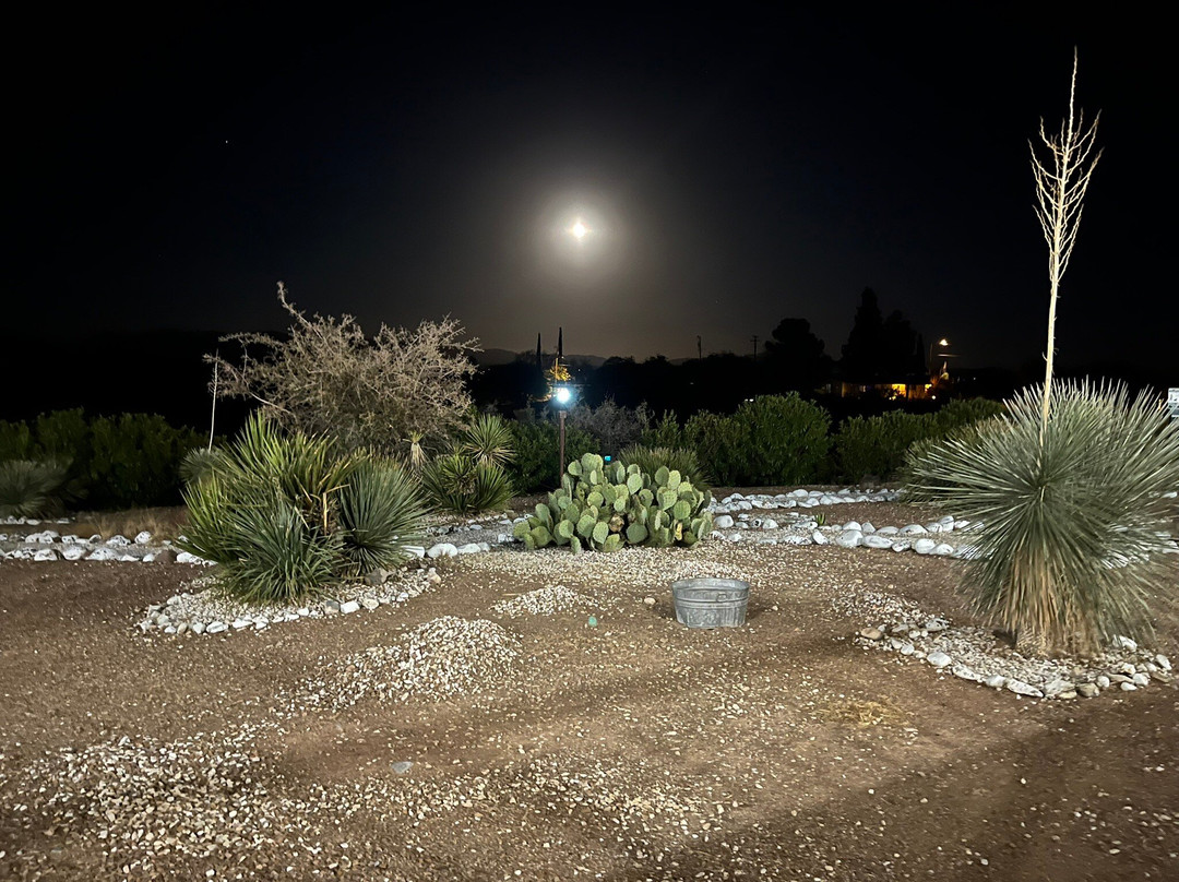 E Allen St-墓碑镇必去景点