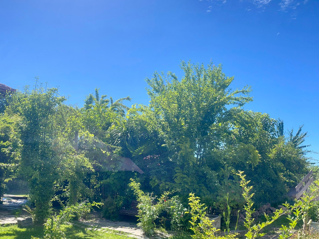 Hotel Vendimia Parador主图