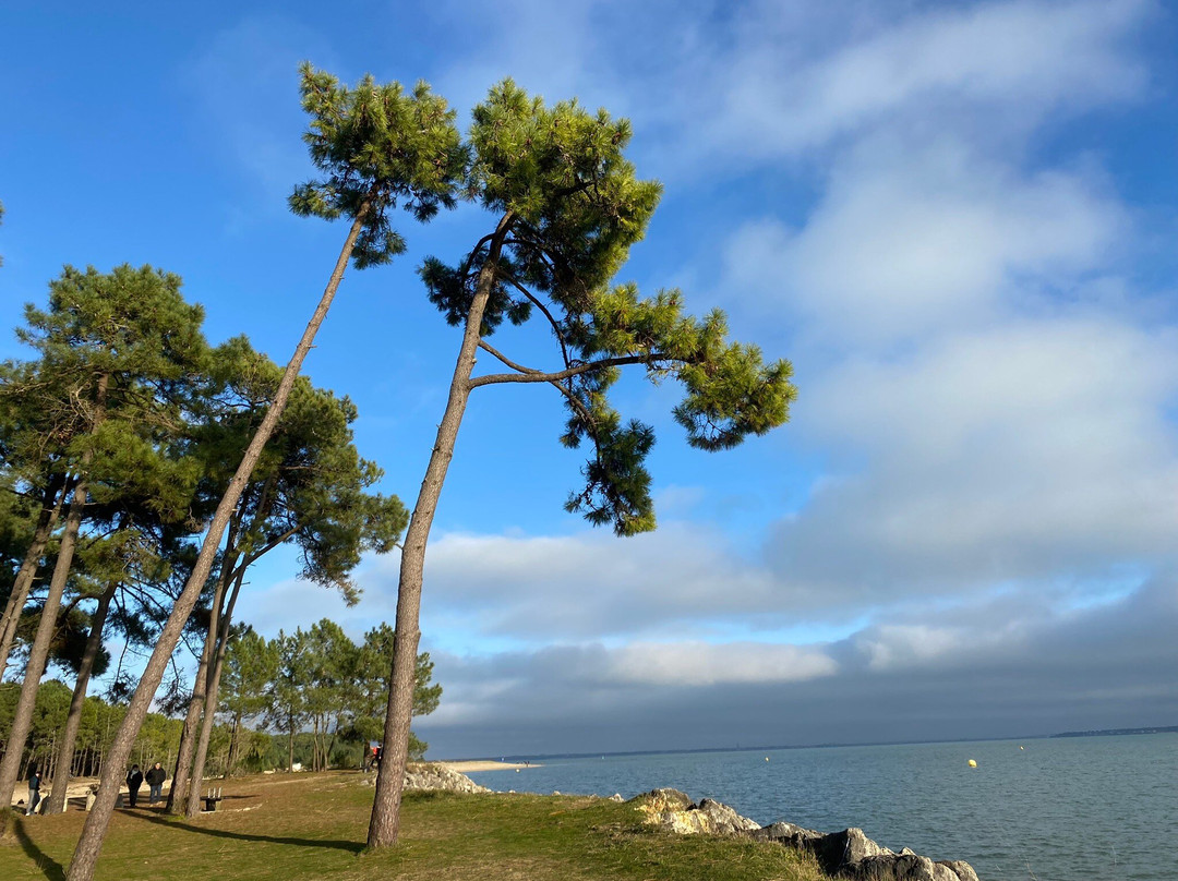 Plage de Gatseau景点图片