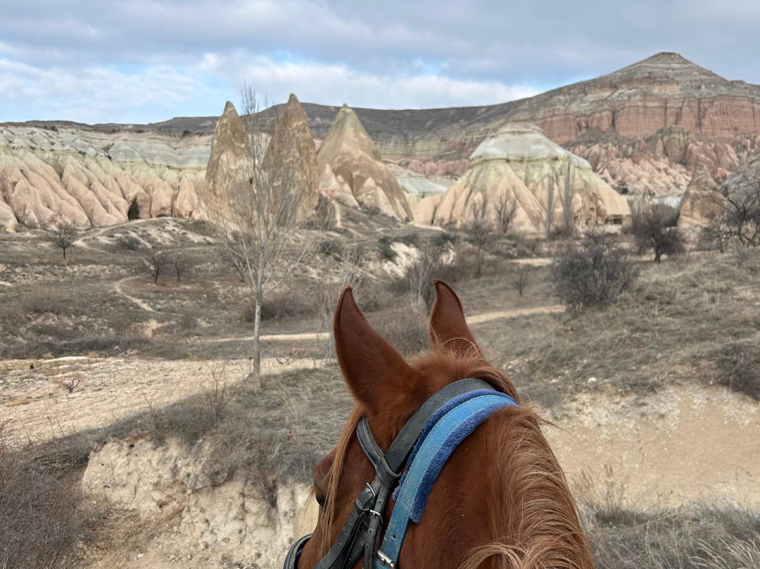 Katpatuka Horses Ranch Cappadocia-格雷梅必去景点