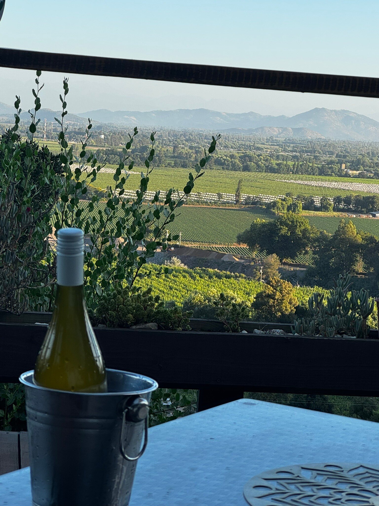 Colchagua D'vino-官方