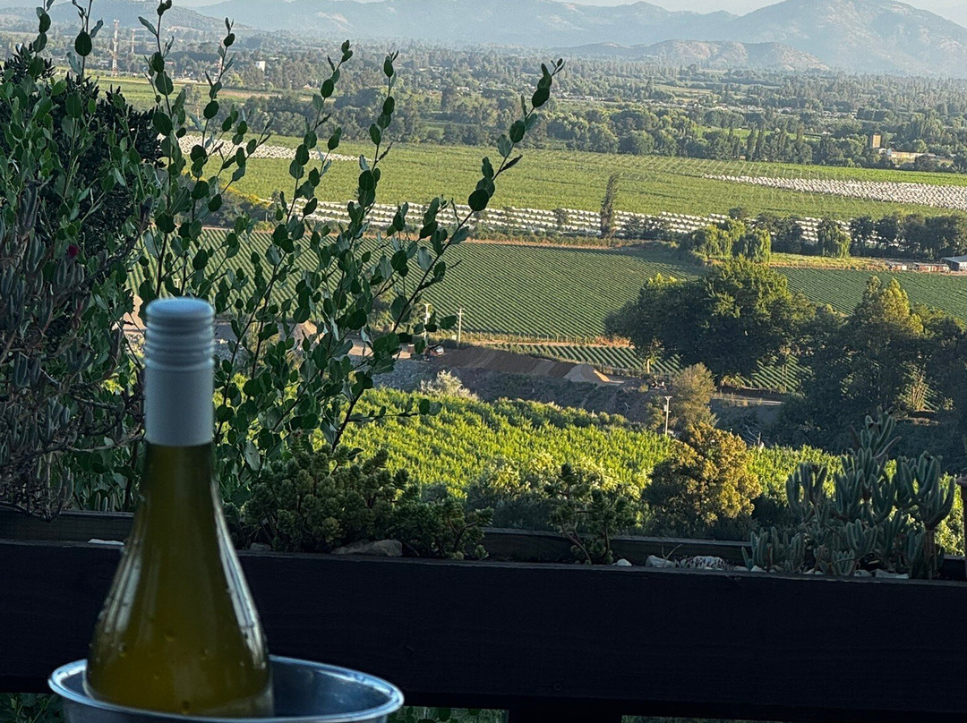 Colchagua D'vino主图