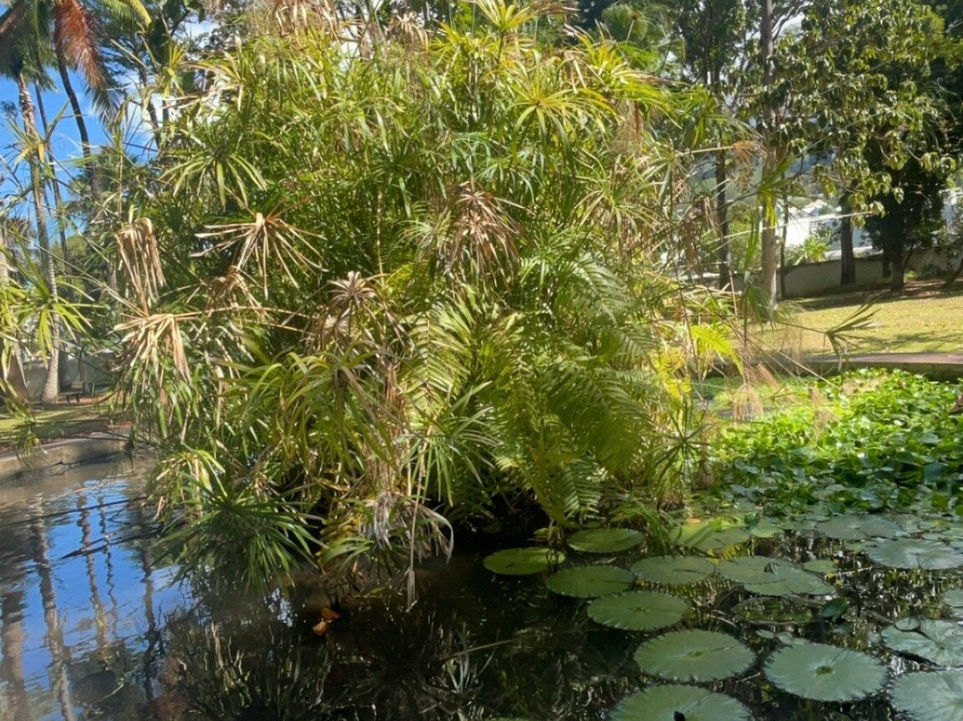 Jardin de l'Etat景点图片