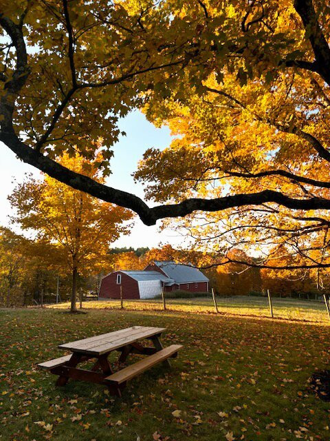 Maple Hill Farm Inn and Conference Center主图