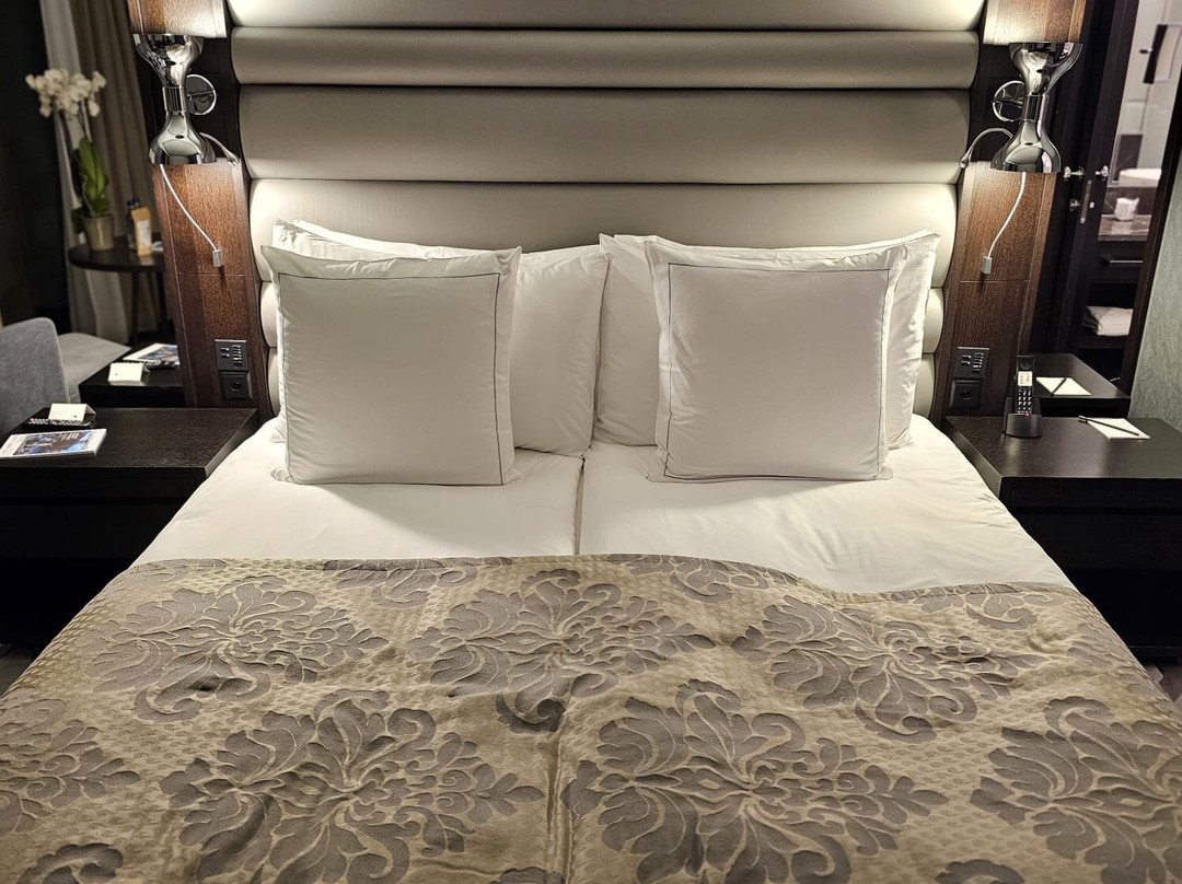 Hotel Royal Savoy Lausanne主图