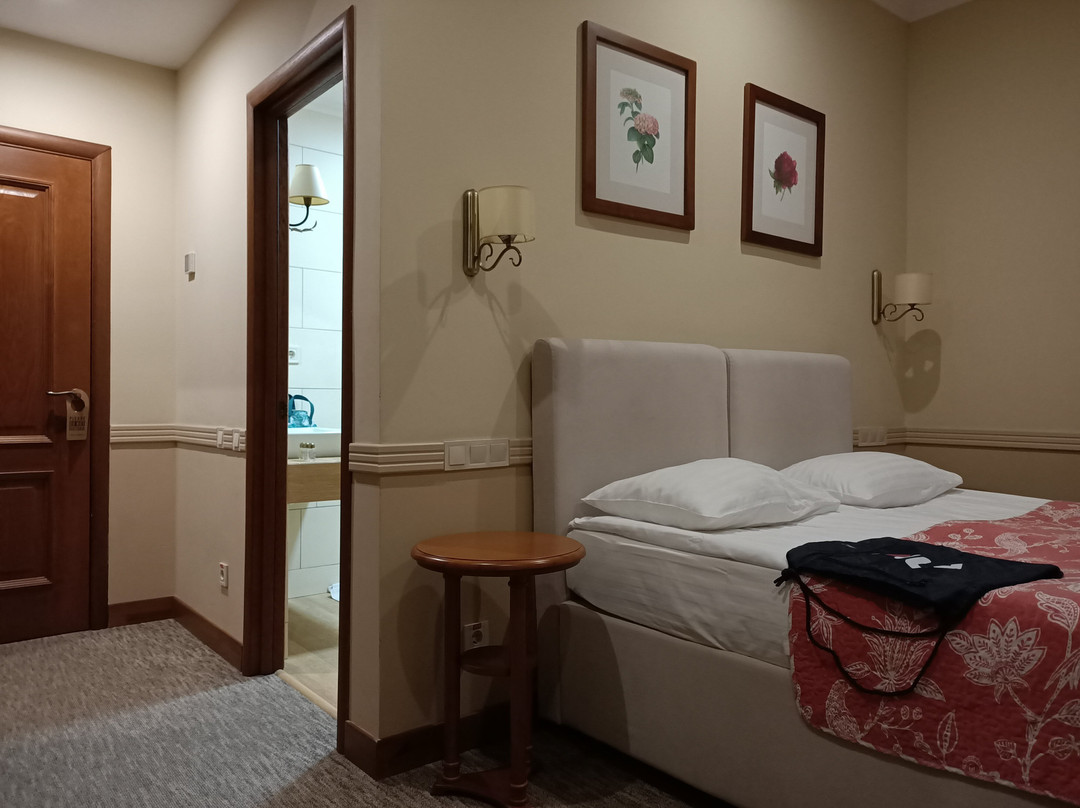 Premier Hotel Pochaiv主图