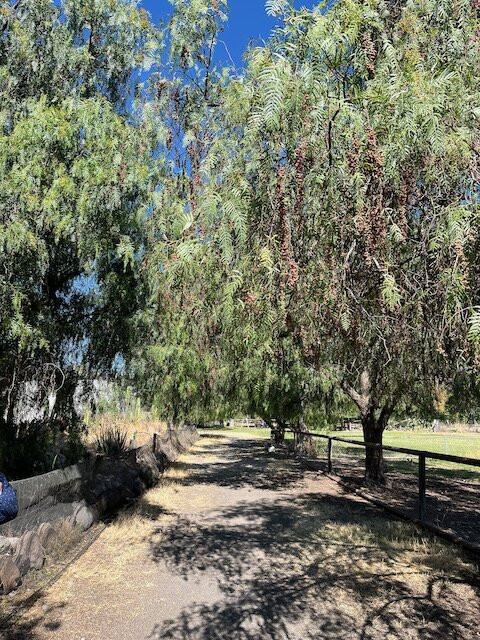 Rancho Santa Marina景点图片